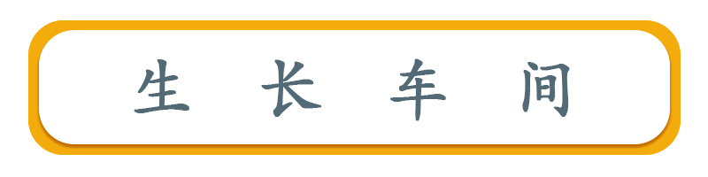 生長(zhǎng)車間